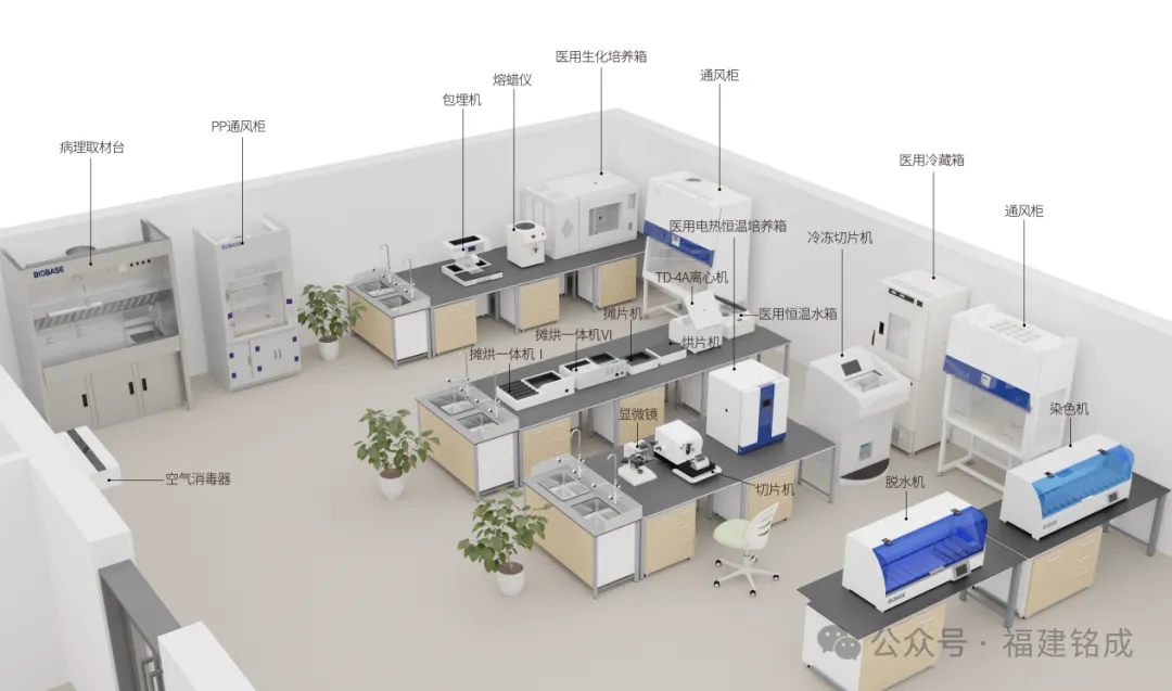 1732501073505150.jpg 病理科1 .jpg